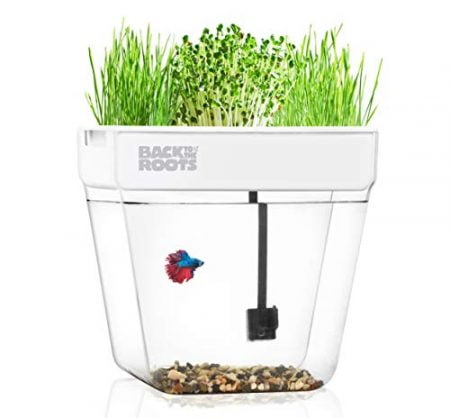 Back to the Roots Water Garden Aquarium, Fish Tank That Grows Plants, One of 2018's Top Holiday Gifts, Gardening Gifts, Teachers Gifts, Unique Gifts, Mini Aquaponic Ecosystem