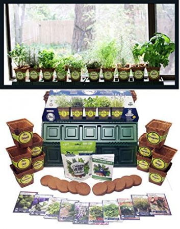 Windowsill Herb Garden Kit, Herb Planter Comes Complete with a 10 Variety Non GMO Heirloom Herb Seed Collection & Herb Pots.