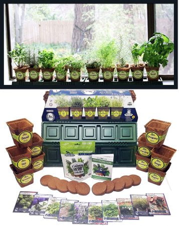 Herb Garden Kit, Herb Planter Comes Complete with a 10 Variety Non GMO Heirloom Herb Seed Collection