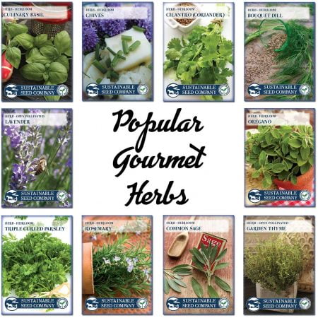 Herb Garden Kit, Herb Planter Comes Complete with a 10 Variety Non GMO Heirloom Herb Seed Collection