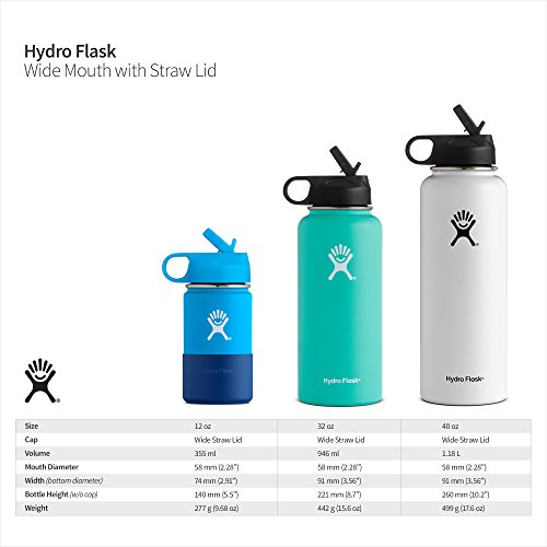 Hydro Flask Water Bottle Stainless Steel & Vacuum