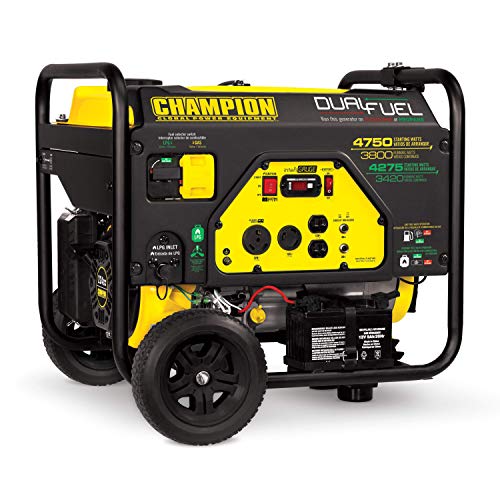 Champion 3800-Watt Dual Fuel RV Ready Portable Generator with Electric Start