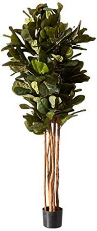 Nearly Natural 5346 Fiddle Leaf Fig Tree, 6-Feet, Green