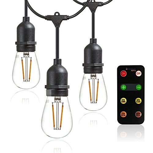 Newhouse Lighting LED String Lights with Weatherproof Technology, Dimmable with  Wireless Remote Control, 48ft and 16 (15+1 free) LED Light Bulbs Included